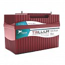 Аккумулятор Trojan Trillium TR 12.8-110 Li-ion 